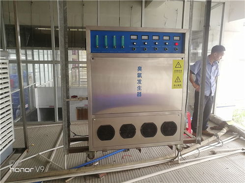 養(yǎng)殖場污水處理器價格 河北養(yǎng)殖場污水處理器 藍(lán)奧專業(yè)臭氧生產(chǎn)