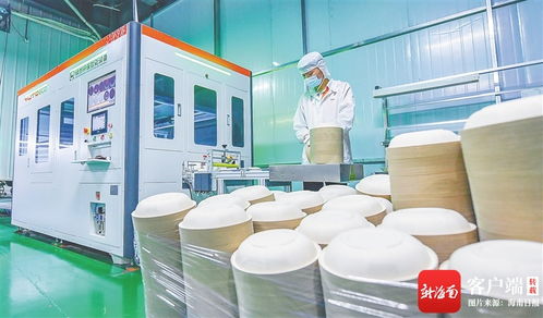 變 看?？趪腋咝聟^云龍產業園甘蔗渣變成環保餐具